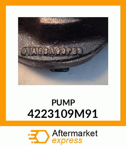 PUMP 4223109M91