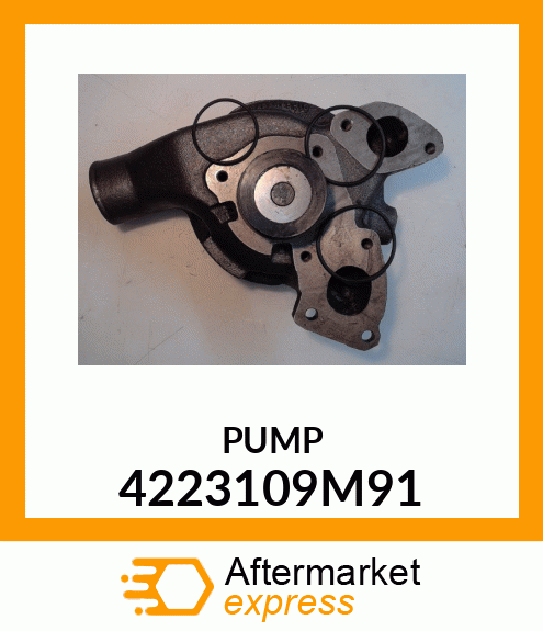 PUMP 4223109M91