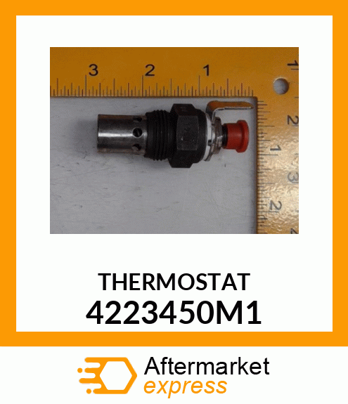 THERMOSTAT 4223450M1