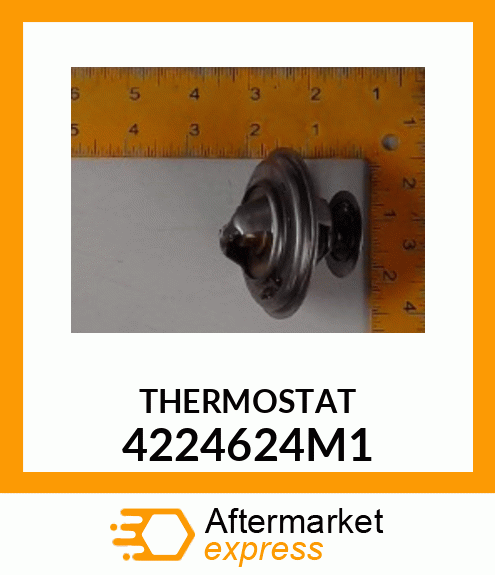 THERMOSTAT 4224624M1