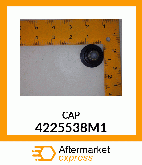 CAP 4225538M1