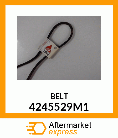 BELT 4245529M1