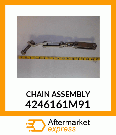 CHAIN_ASSEMBLY_ 4246161M91