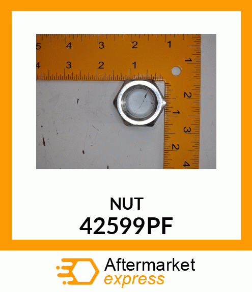 NUT 42599PF