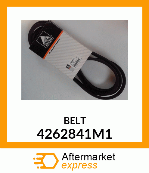 BELT 4262841M1