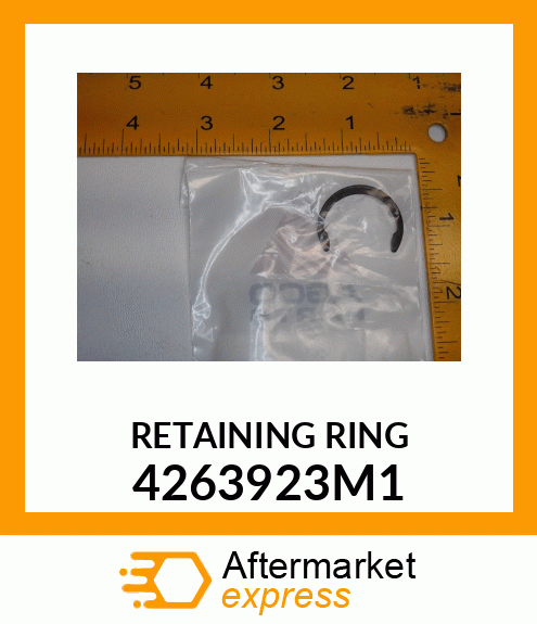 RETAINING_RING_ 4263923M1