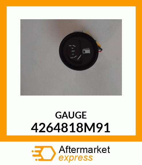 GAUGE 4264818M91