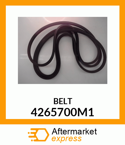 BELT 4265700M1