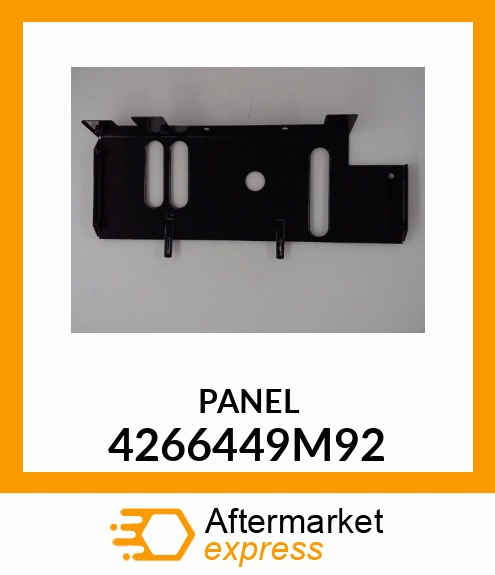 PANEL 4266449M92