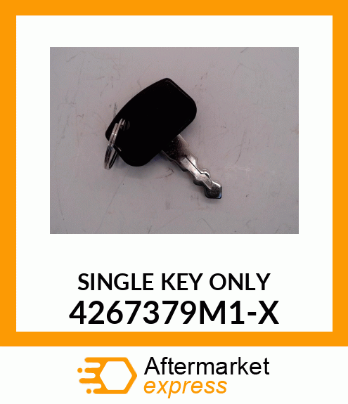 SINGLE_KEY_ONLY 4267379M1-X