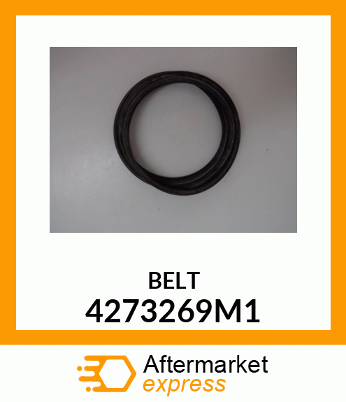 BELT 4273269M1