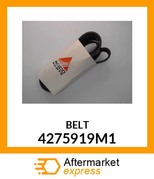 BELT 4275919M1