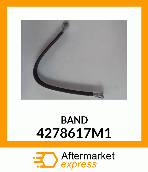 BAND 4278617M1