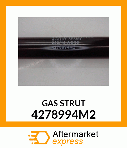 GAS_STRUT 4278994M2