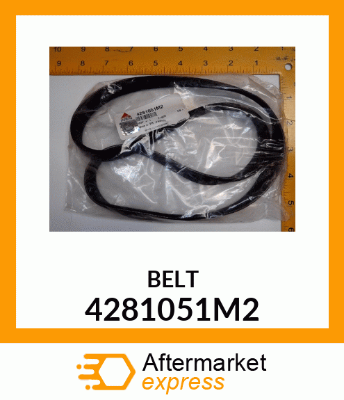 BELT 4281051M2