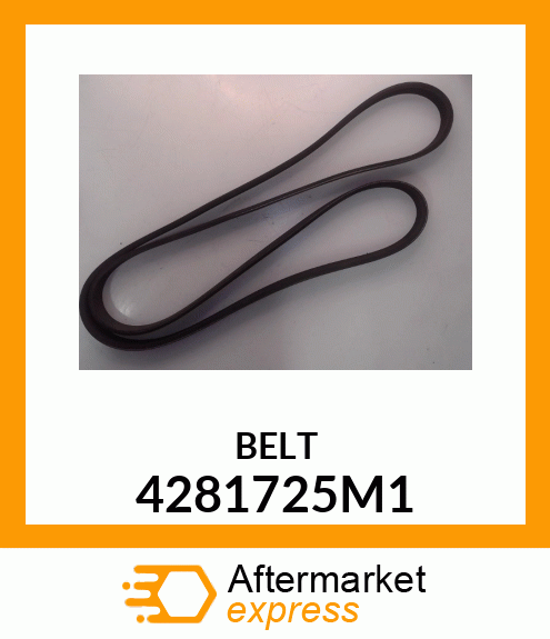 BELT 4281725M1