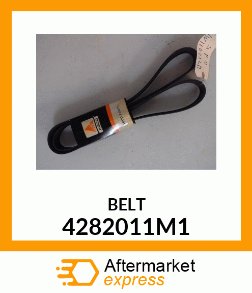 BELT 4282011M1