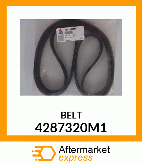 BELT 4287320M1