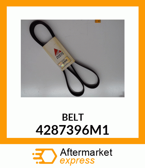 BELT 4287396M1