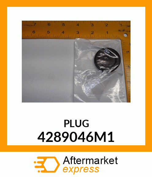 PLUG 4289046M1