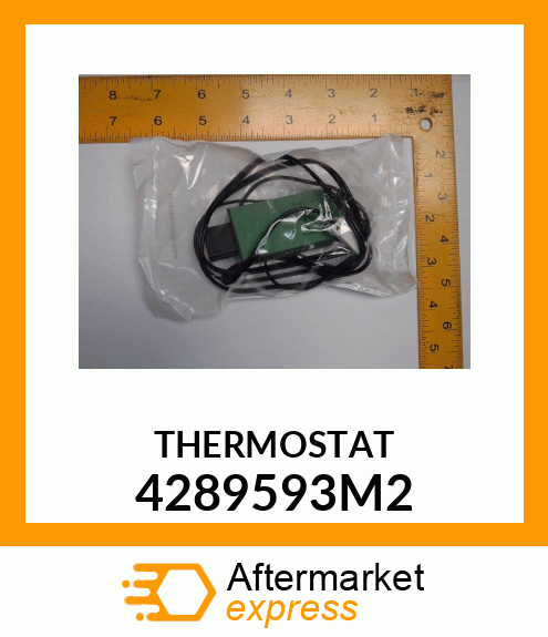 THERMOSTAT 4289593M2