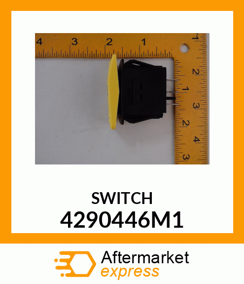 SWITCH 4290446M1