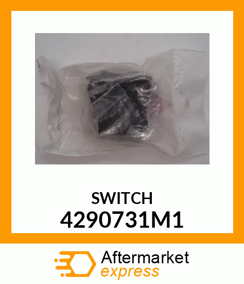 SWITCH 4290731M1