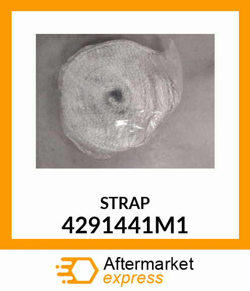 STRAP 4291441M1