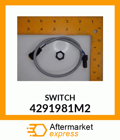 SWITCH 4291981M2