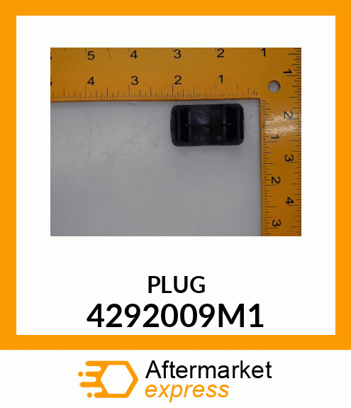 PLUG 4292009M1