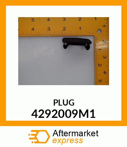 PLUG 4292009M1