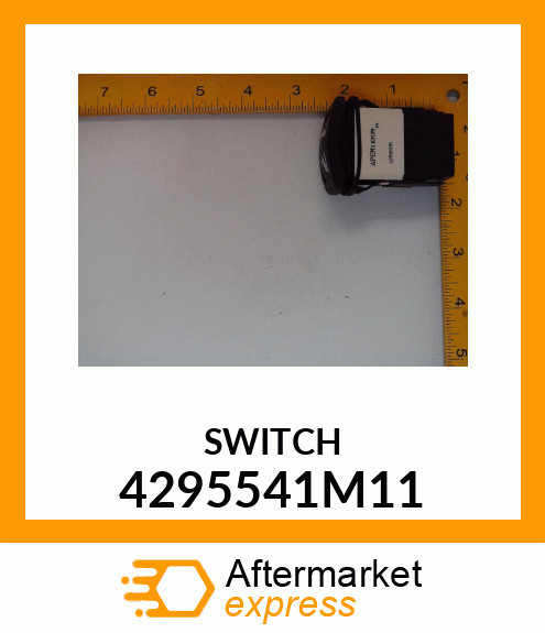 SWITCH 4295541M11