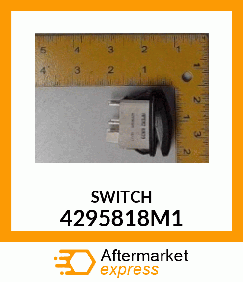 SWITCH 4295818M1