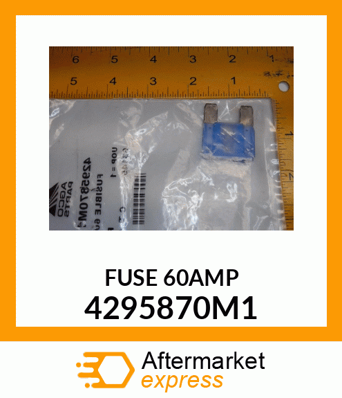 FUSE60AMP 4295870M1