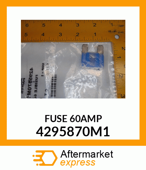 FUSE60AMP 4295870M1