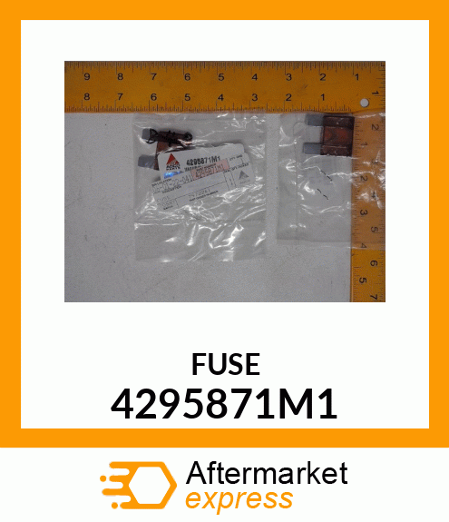 FUSE 4295871M1