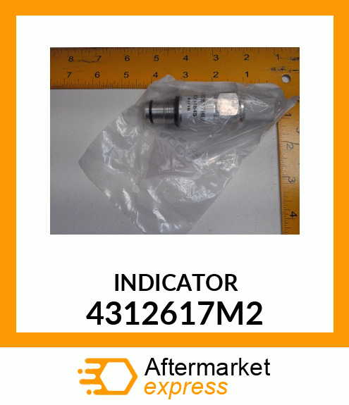 INDICATOR 4312617M2