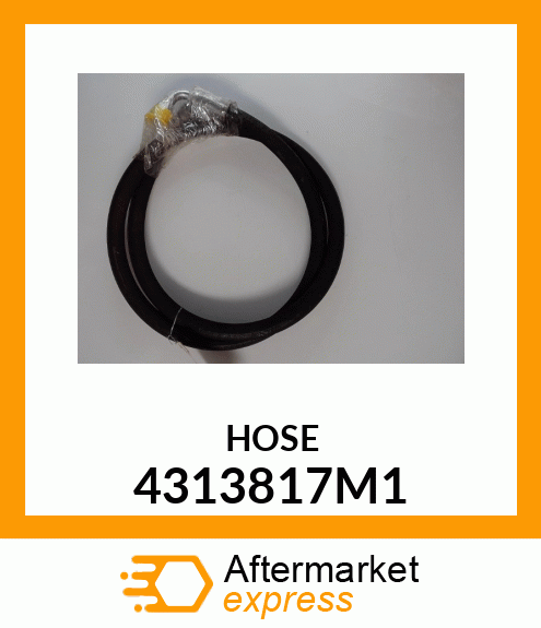 HOSE 4313817M1