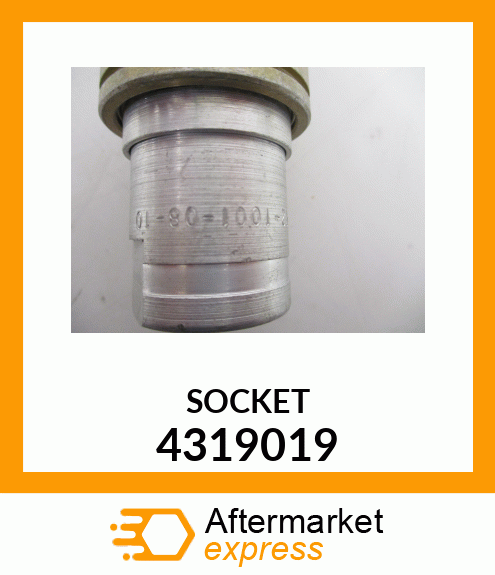 SOCKET 4319019