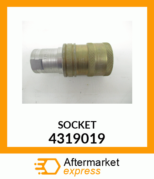 SOCKET 4319019