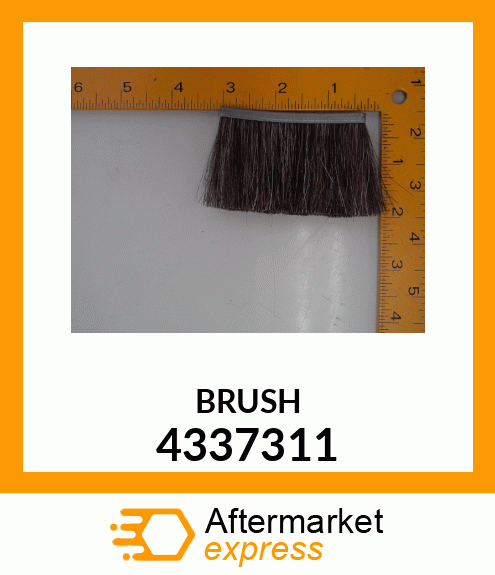 BRUSH 4337311