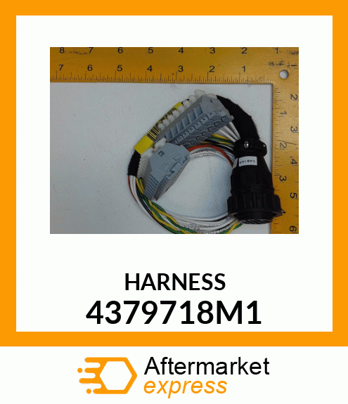 HARNESS 4379718M1