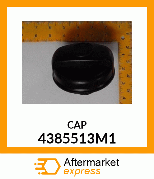 CAP 4385513M1