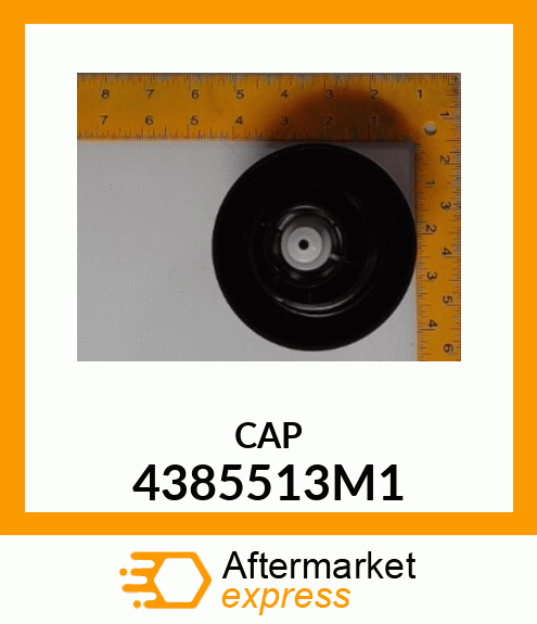 CAP 4385513M1