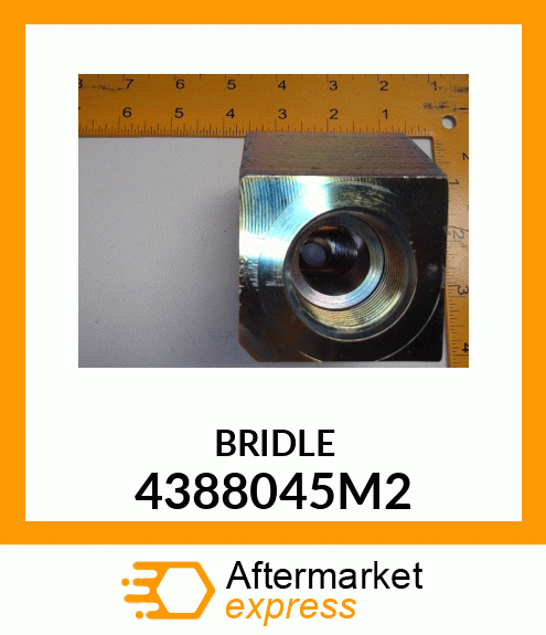 BRIDLE 4388045M2