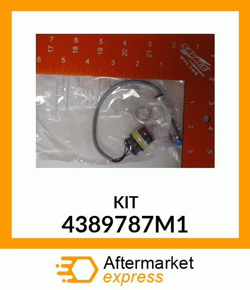 KIT 4389787M1