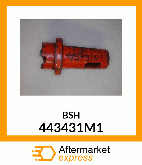 BSH 443431M1