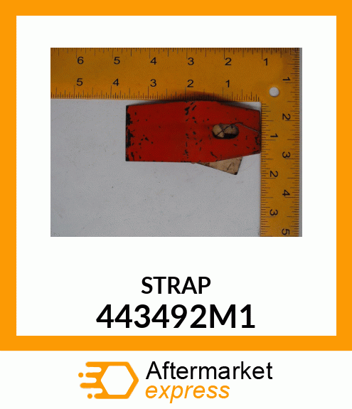 STRAP 443492M1