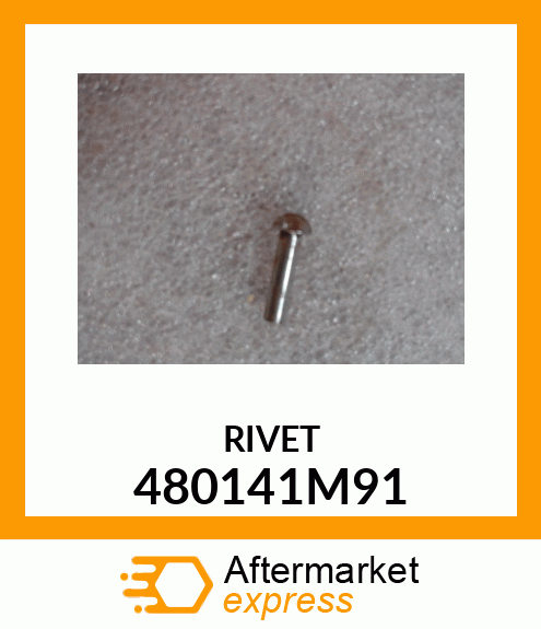 RIVET 480141M91