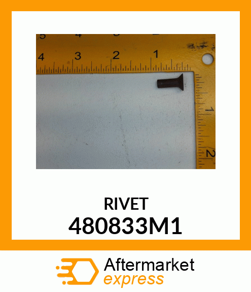 RIVET 480833M1